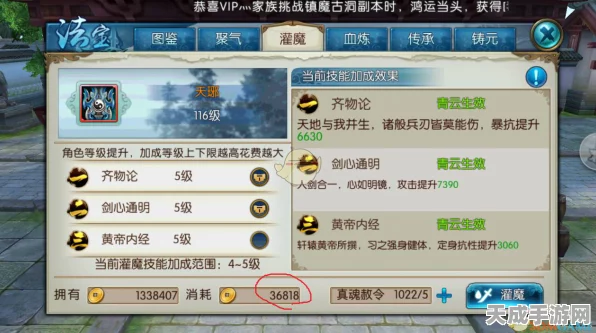 诛仙手游深度解析，法宝铸元全攻略，助你战力飙升！