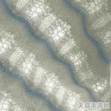 完美世界国际版深度解析，打造高血量法师FS的配点与修炼秘籍