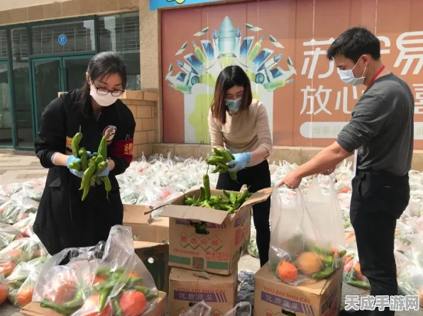 艾猫星球平台合法性深度解析，安全游戏新选择还是潜在风险？