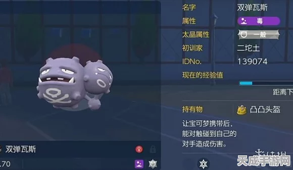 宝可梦大探险，双弹瓦斯属性技能深度解析及实战应用