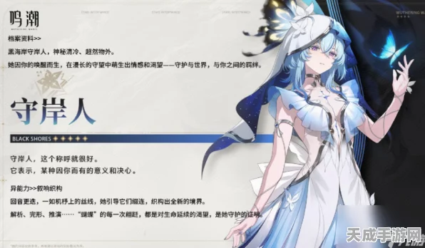鸣潮守岸人角色大揭秘，技能详解与最强阵容搭配策略