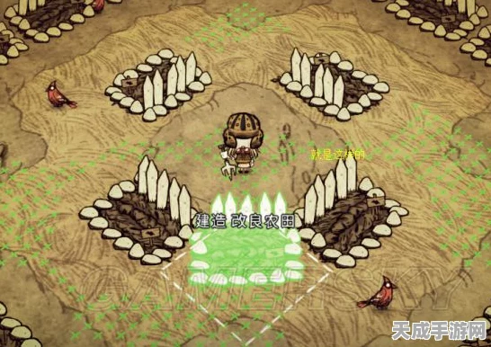 饥荒手机版，打造梦幻家园，从零开始的建造秘籍
