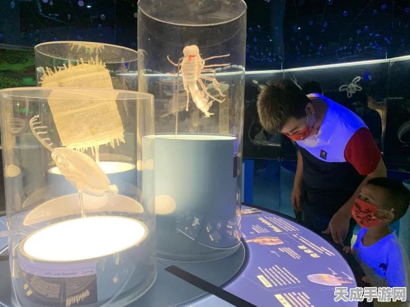 深海奇遇，暗黑起源与契约全平台公测，探险大赛即将启幕