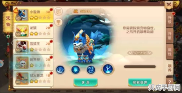 热血江湖奇遇揭秘，石力属性如何助你称霸武林？