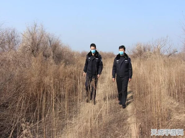 怪物猎人世界，解锁调查任务全攻略，助你狩猎之旅更精彩！
