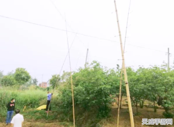 怪物猎人世界，解锁调查任务全攻略，助你狩猎之旅更精彩！