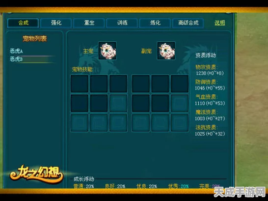 长安幻想龙宫新手必看，宠物培养全攻略及实战技巧揭秘