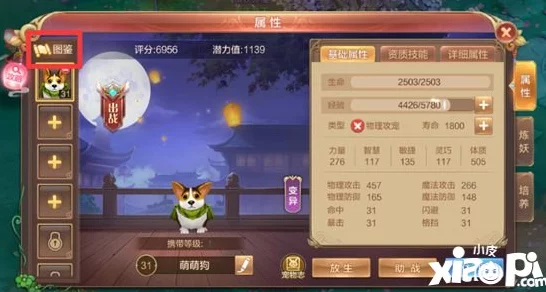 长安幻想龙宫新手必看，宠物培养全攻略及实战技巧揭秘