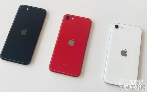 独家揭秘，苹果或将推出全新iPhone SE Plus，更多细节曝光！