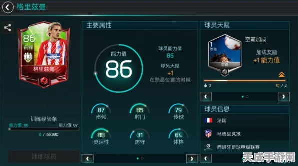 FIFA Online 2配置需求大揭秘，流畅体验绿茵赛场的硬件门槛