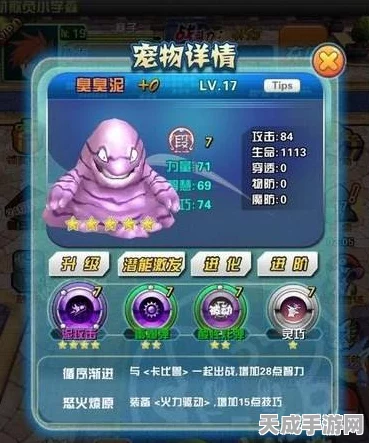 口袋妖怪拾物系统全攻略，属性解析与实战技巧