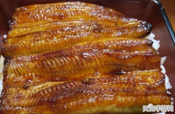 幻塔美食探秘，香辣鳗鱼获取攻略与绝妙口感深度剖析