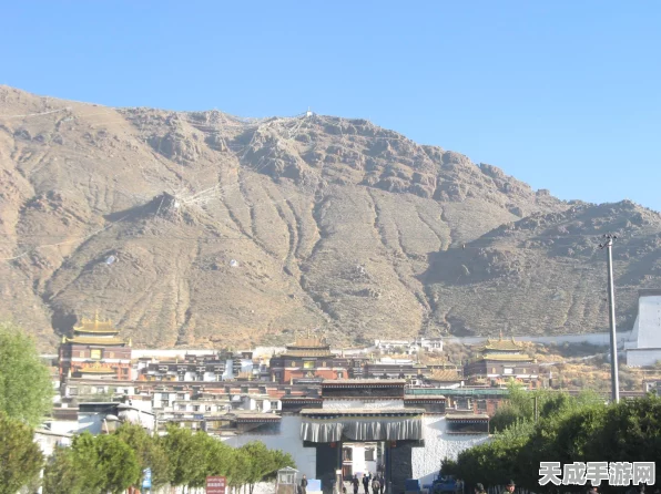 边境之旅，仓库使用秘籍与收益最大化攻略