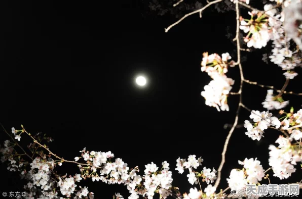 泰拉瑞亚手机版，星尘翅膀震撼登场，探索无限天际的终极装备！