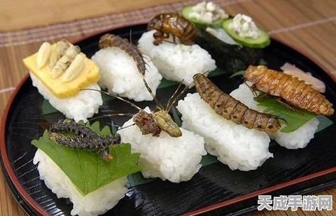 妄想山海，解锁冒脑花美食秘籍，烹饪大赛独家食谱揭秘