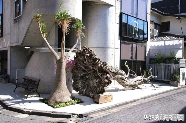 怪物猎人世界，揭秘大小金珍稀度与猎人荣耀之战