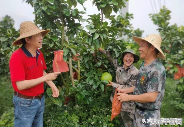 戎马丹心汉匈决战，前期任务攻略与实战技巧揭秘