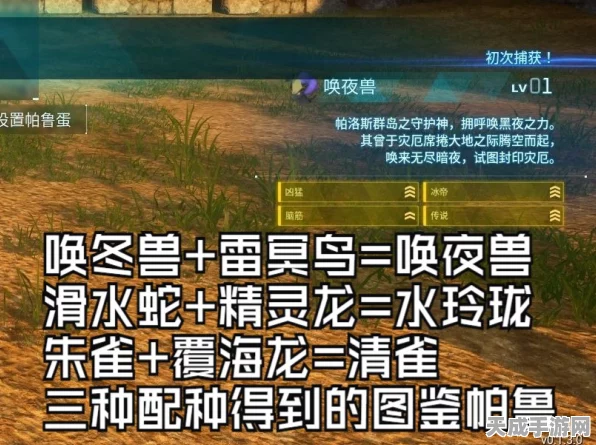幻兽帕鲁探险深度解析，第三禁猎区珍稀幻兽捕捉全攻略