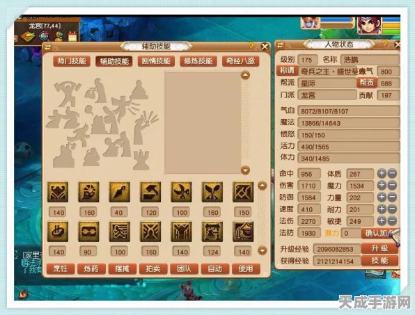 梦幻西游175龙宫顶尖装备搭配攻略，打造极致输出与生存