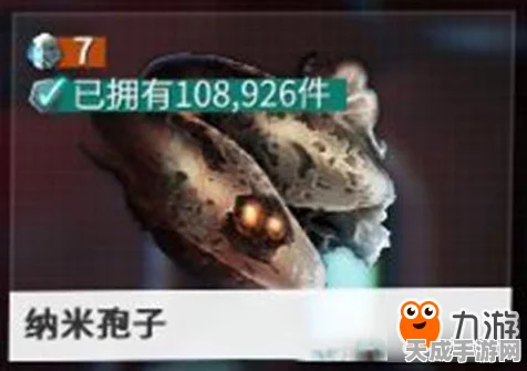 星际战甲攻略，解决战甲位置不足的实战策略与最新动态