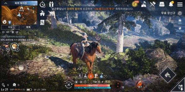 黑色沙漠手游深度攻略，独家揭秘高效采集鸡蛋的隐藏技巧与赛事亮点