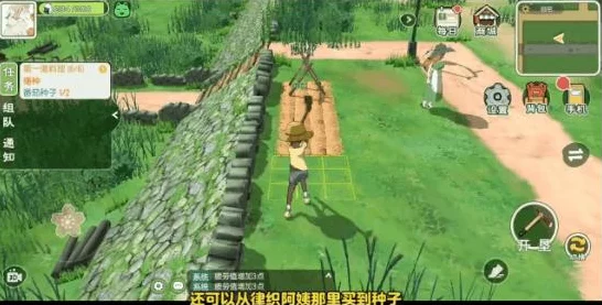 小森生活，解锁海边餐厅美食之旅，全攻略揭秘