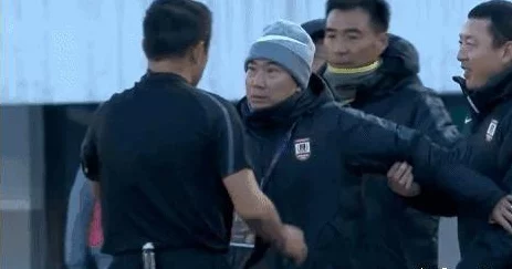 愤怒的大脚中文版震撼来袭！免安装绿色版下载详情揭秘