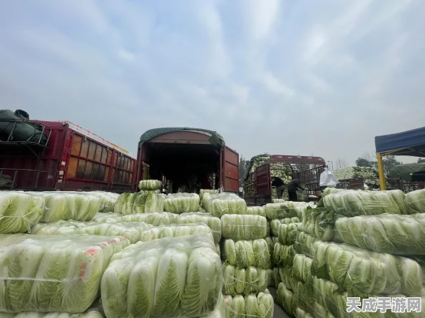 摩尔庄园钓鱼攻略，揭秘白萝卜鱼的神秘钓点！