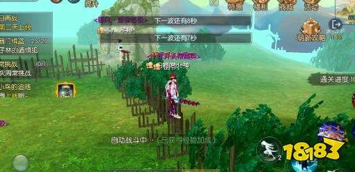 武林外传手游深度攻略，登顶山巅霸主之路，揭秘养成技巧与全地图坐标