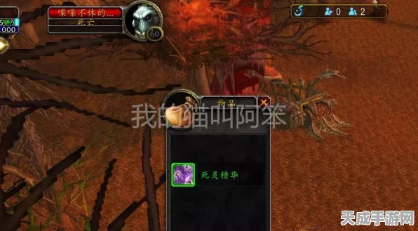 魔兽世界幻象全攻略，揭秘力量之源与实战策略，助你称霸艾泽拉斯！