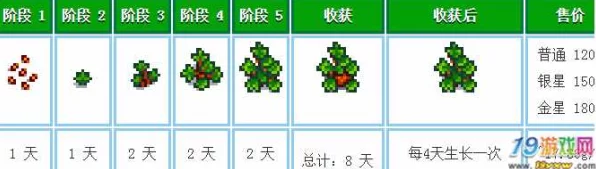 星露谷物语，揭秘草莓高效种植秘籍，掌握生长周期赢在起跑线