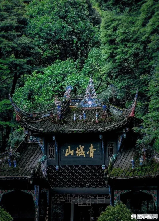 寻道大千，解锁顶尖神通道法，强度排行与选择攻略大揭秘