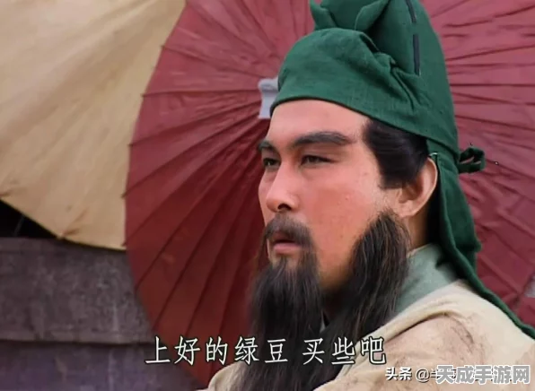 三国志8重制版角色统帅魅力大比拼，曹操刘备双雄争霸！