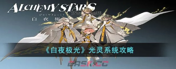 白夜极光，光灵支援箱精选攻略，揭秘高效资源调配秘籍