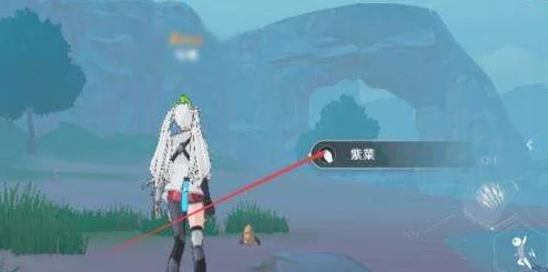 幻塔紫菜大揭秘，高效采集位置与技巧全攻略