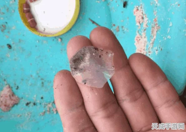 钓鱼大赛来袭！创造与魔法揭秘珍稀钓点，开启捕鱼奇遇