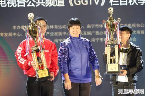 拳皇回合手游深度解析，特色玩法与竞技盛宴