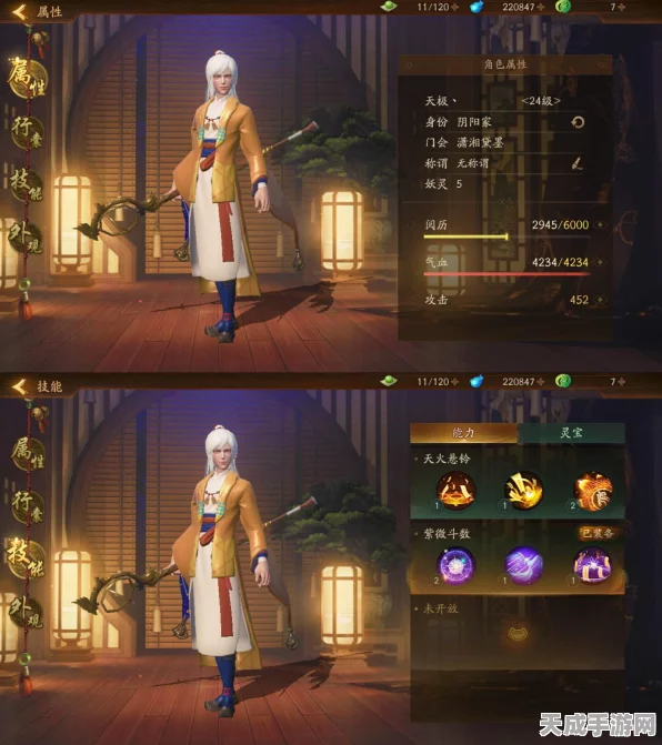 神都夜行录深度解析，阴阳家技能搭配攻略，助你驰骋妖界！