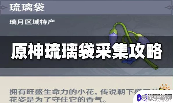 原神深度攻略，揭秘琉璃袋刷新机制，助你高效采集稀有材料