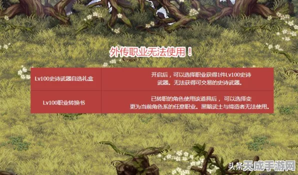 DNF鬼剑士职业深度解析，转职优选与高效组队策略大公开