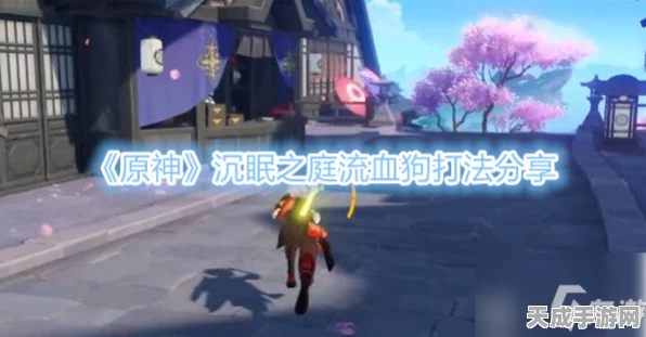 探秘原神祝圣秘境，沉眠之庭详尽指南与最新动态