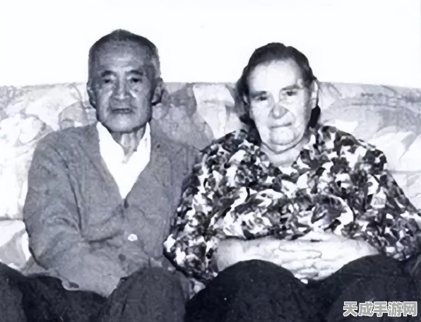 暗黑黎明2深度攻略，揭秘家族贡献值的力量与高效获取策略