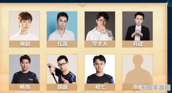 云顶之弈巅峰对决，全球总决赛与TOC赛事深度解析