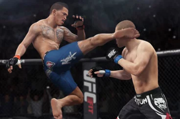 UFC与ONE冠军赛，终极格斗盛宴的差异化解析