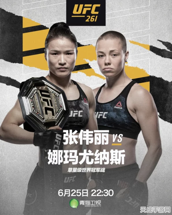 UFC与ONE冠军赛，终极格斗盛宴的差异化解析