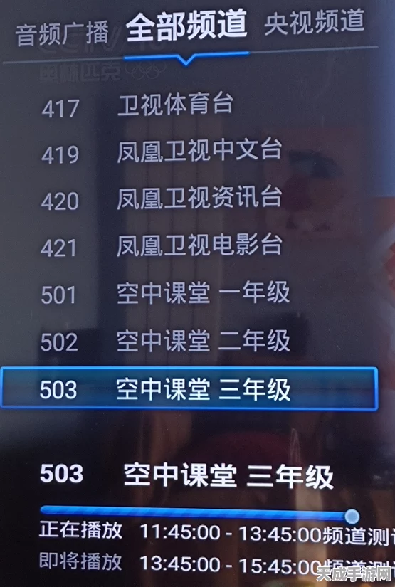 以闪亮之名，玩呐百科全攻略，解锁高阶玩法与必胜策略