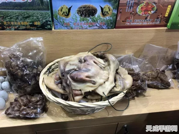 以闪亮之名深度揭秘，柴老板神秘现身规律与惊喜活动全解析