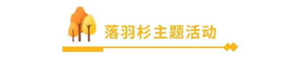 地下城堡3，魂之诗秘境4通关攻略大揭秘