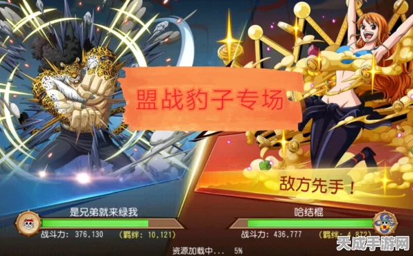 航海王热血土豹子，全新赛事规则与精彩看点揭秘