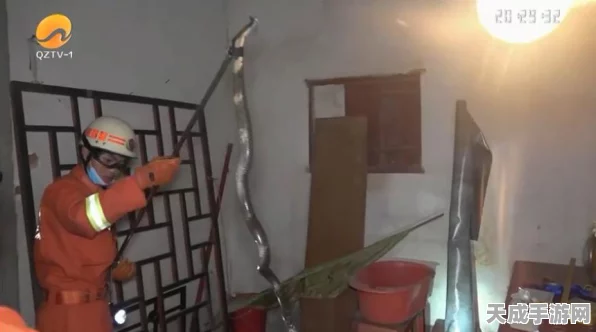 无敌脑洞王者惊魂小屋挑战攻略，美女玩家如何一步步战胜恐惧